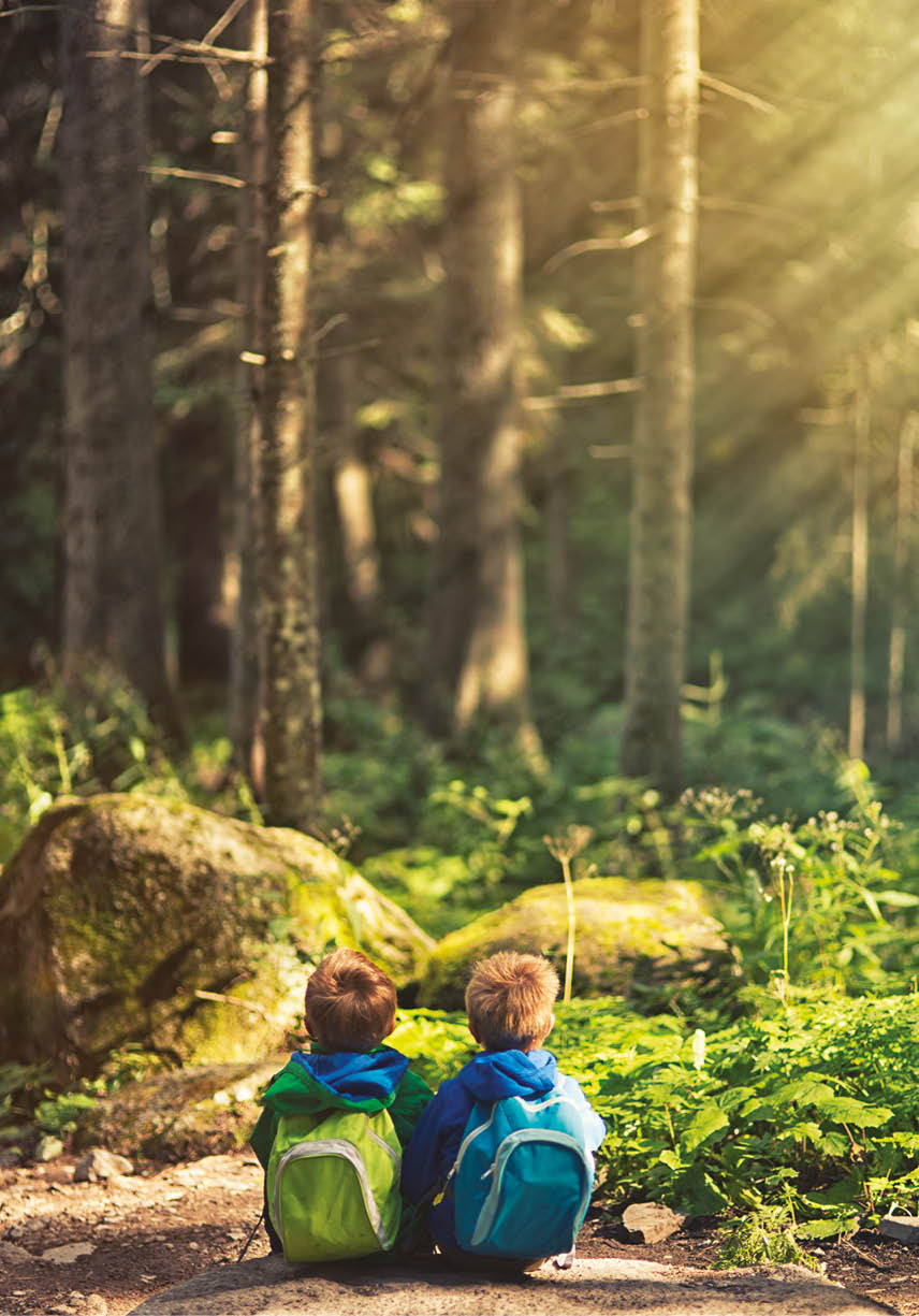 Brothers hiking and resting in a forest 