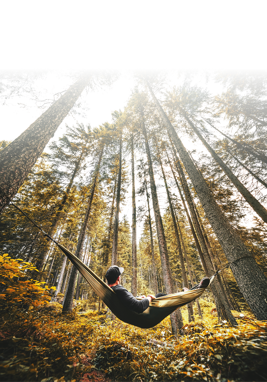 man resting on the hammock