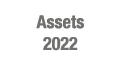 Assets 2022