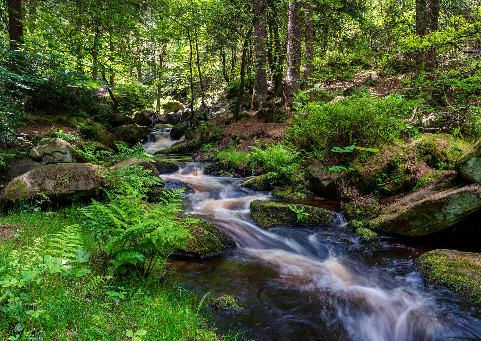 stream in a green forest on summer warm days. Peak District national park.