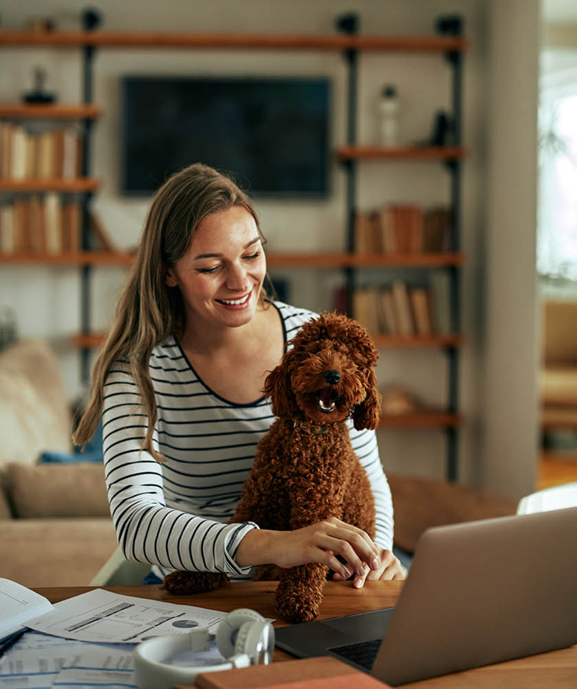 Beautiful woman sitting at the desk at home, taking care about home budgeting with her lovely red poodle in lap