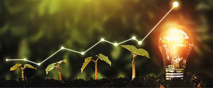 Lightbulb is located on the soil, plant are growing Renewable energy generation is essential in the future